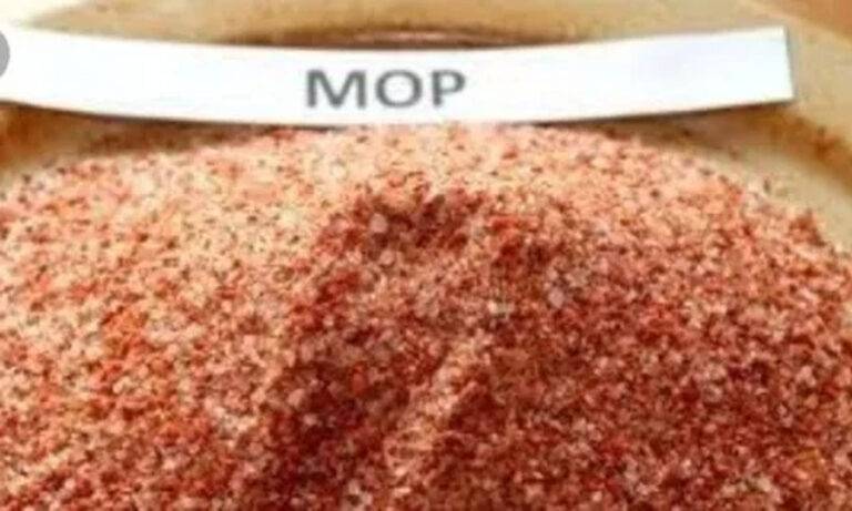 MOP පොහොර ගැන රජයෙන් නිවේදනයක්!