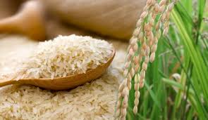 පොලොන්නරුව දිස්ත්‍රික්කයෙන් පමණක් සහල් කිලෝ ලක්ෂ 95 ක් වෙළඳපොලට!