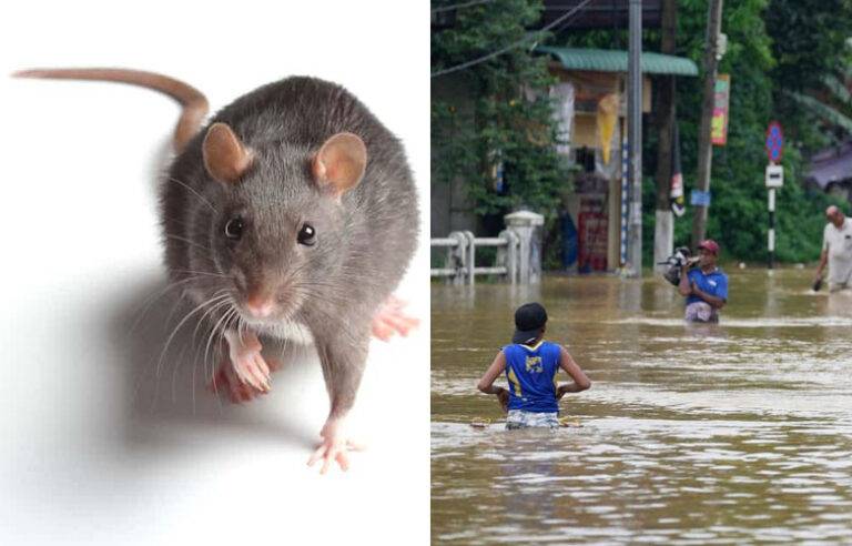 උඹට පුළුවන්නම් මට කොච්චරක් පුළුවන්ද මෙතන ….