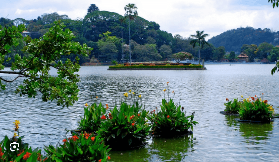 2025 වසරේ ලොව සංචාරය කිරීමට හොඳම ස්ථාන 25 අතරට ශ්‍රී ලංකාවත්!