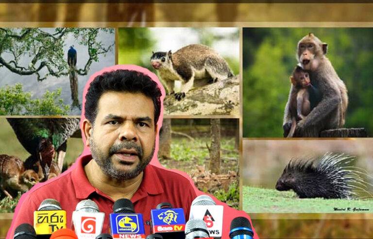 වන සතුන්ගේ ප්‍රශ්නයට විසඳුම් දෙන්න ගත් පියවර කෘෂිකර්ම නියෝජ්‍ය ඇමති නාමල් කියයි