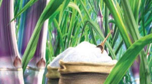 ලංකා සීනි සමාගම අර්බුදයක?