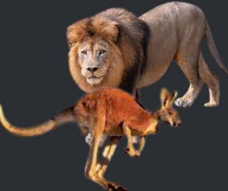 කැන්ගරුවන්ගේ සහ සිංහයන්ගේ හමුවීම් කොළඹට සහ ගාල්ලට සීමා වෙයි