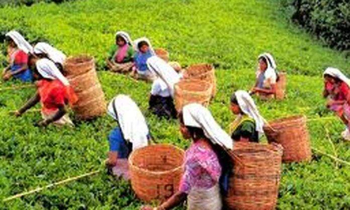 6ebaea79b30dc3ab263118dc65bf14db_XL