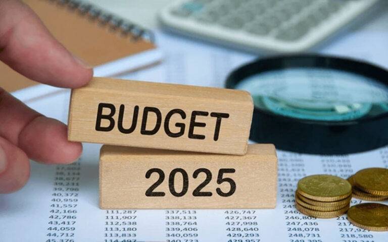 2025 අයවැයෙන් රජයට සාධනීය ප්‍රවේශයක් ගත හැකිවුණාද?