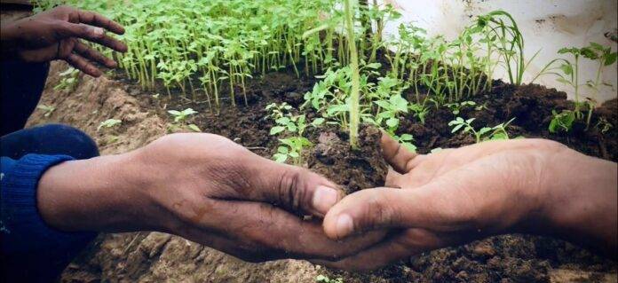 EU6GMYyWkAAVTWi-1200x550