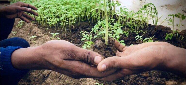 ‘එක මිටට – ගොවි බිමට පෙළගැසෙමු’ වැඩසටහන ඇරඹෙයි!