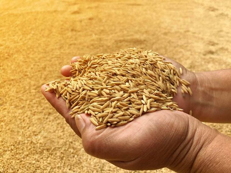 අවම වී මිල රජය නිවේදනය කරයි!