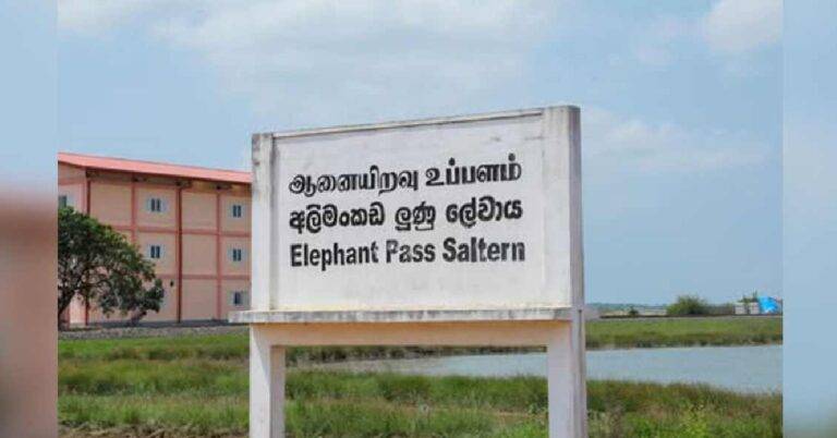 ළඟදීම ” රජ ලුණු වෙළඳපොළට!