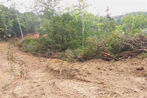 වනජීවි හා වන සංරක්ෂණ දෙපාර්තමේන්තුවලට අයත් ඉඩම් ගැන තීරණයක්!