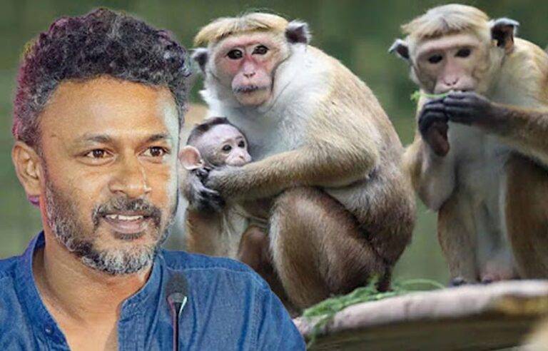 රිලව් දූපතට දාලා විදුලි වැටක් ගහලා නිතර අධීක්ෂණය කරනවා. මේකෙ කිසිම දුර්වල තැනක් නෑ – මන්ත්‍රී ජගත්
