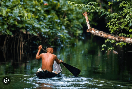 Amazonia: ඇමසෝනියා