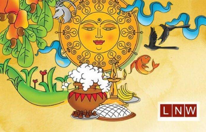 new-year-LNW-25