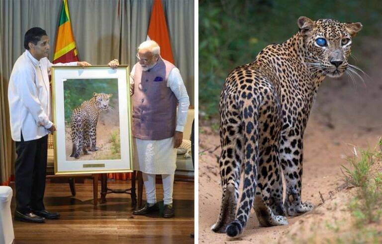 විපක්ෂ නායක සජිත් ඉන්දීය අගමැති මෝදිට දුන් සුවිශේෂී ත්‍යාගය