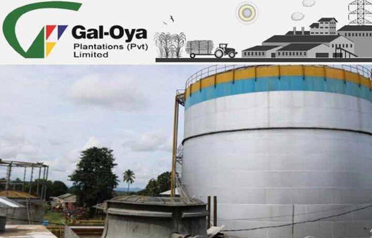 ගල්ඔය වැවිලි සමාගමට අවසර පත්‍රයක් දුන්නා විතරයි, මත්පැන් නිෂ්පාදන බලපත්‍රයක් දීලා නෑ – සුරාබදු දෙපාර්තමේන්තුව