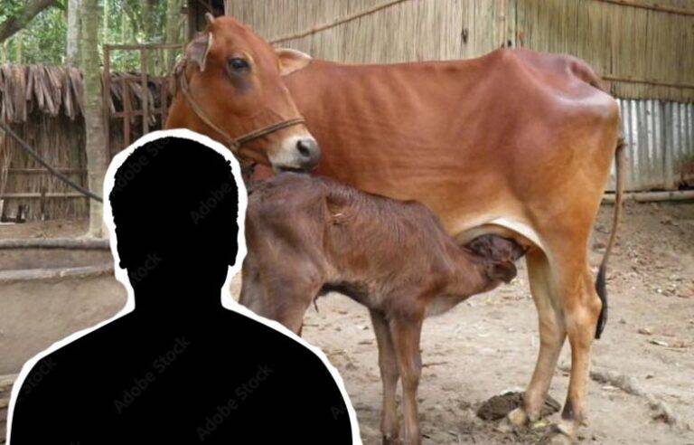 හරක් එක්කම ඉඳලා වෙන දේ …. – අතීත කතාව සහ වර්තමානය