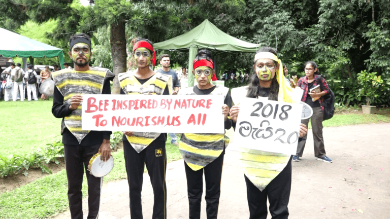 ජාත්‍යන්තර බිගු දින සැමරුම් උත්සවය ගන්නෝරුවේදී!