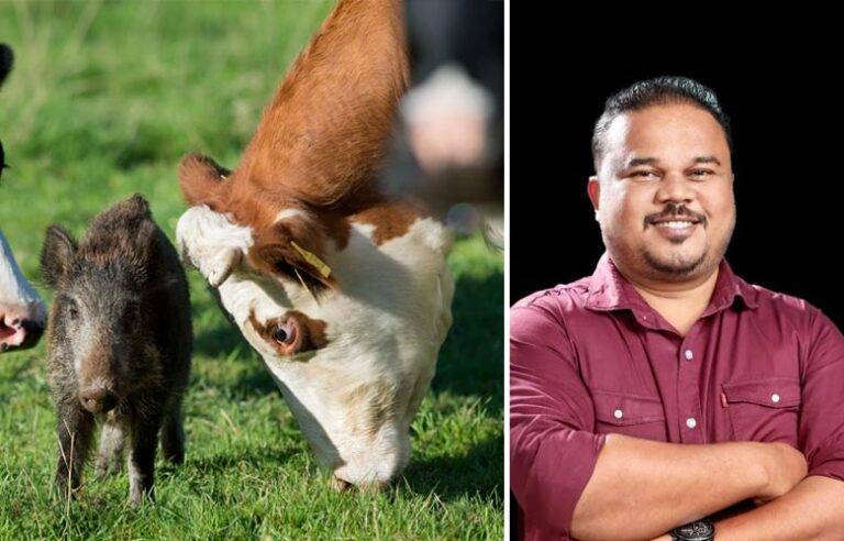ඌරන් ගවයන් ගණනය කරද්දී විපක්ෂයේ මන්ත්‍රීවරුන්වත් ගණන් කරන්න අපි සූදානම් – NPP මාපලගම