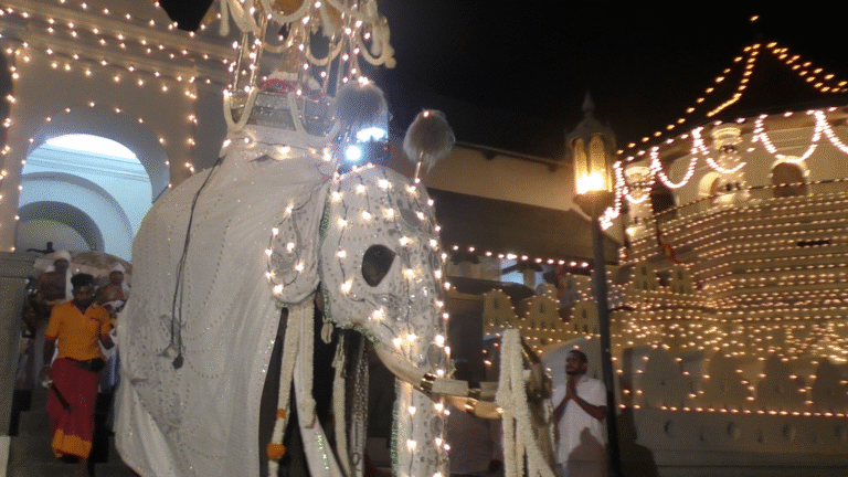 ඓතිහාසික ඇසළ පෙරහැර මංගල්‍යයේ දෙවන කුඹල් පෙරහැර අද!