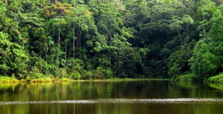 පරිසර අමාත්‍යංශයේ තවත් තීරණයක්!