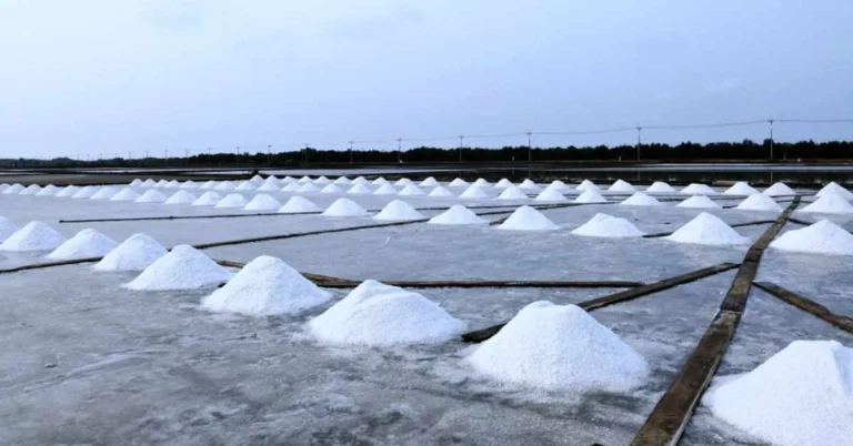 මාස 18කට පසු හම්බන්තොට ලුණු නිෂ්පාදනය ඇරඹේ!