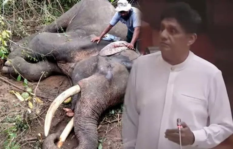 භාතියගේ ජීවිත පූජාවට වටිනාකමක් ලබාදී අලි මිනිස් ගැටුම නැවතීමට ජනාධිපති කාර්ය සාධන බලකායක් හදන්න – සජිත්