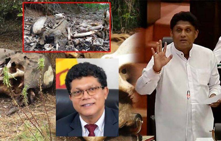 අලි මිනිස් ගැටුම අවම කිරිමට 2020 හඳුන්වා දුන් වැඩපිළිවෙළ ක්‍රියාත්මක නොකරන්නේ ඇයි ? – විපක්ෂ නායක සජිත් රජයෙන් ප්‍රශ්න කරයි