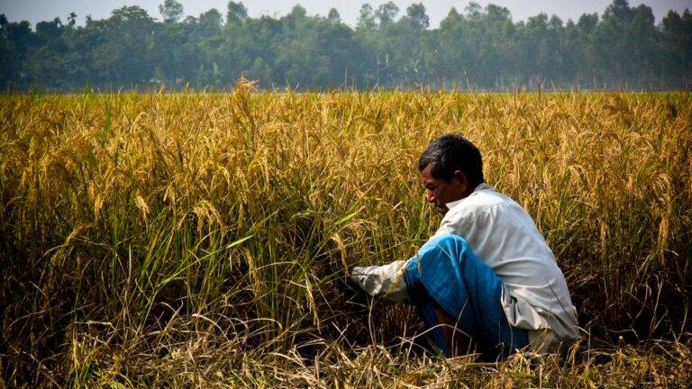 “එක මිටට ගොවි බිමට” ජාතික කර්තව්‍යයට DEARO AGRI එක් වෙයි!