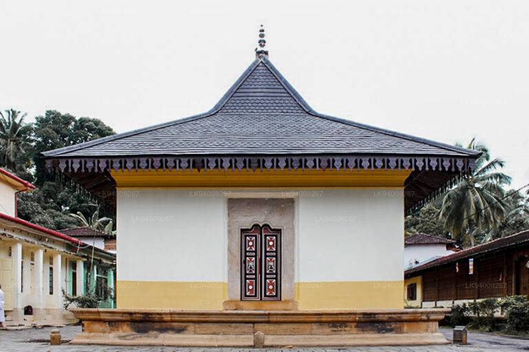 අස්ගිරි පාර්ශ්වයේ අනුනායක ධූරය සඳහා පැවැත්වෙන නිලවරණය අද!