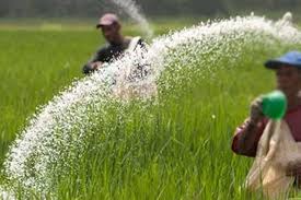 පොහොර සහනාධාරය QR ක්‍රමයට!