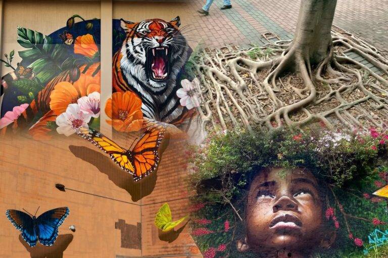 වීදි කලාව ගහක මුලක්, කොලයක්, මලක් වුවත් ජීවමාන කරවන රූප මවනු ඇත!