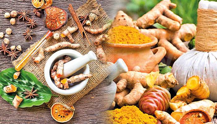 කහ සහ ඉගුරු වගාවටත් හොද කාලයක්!