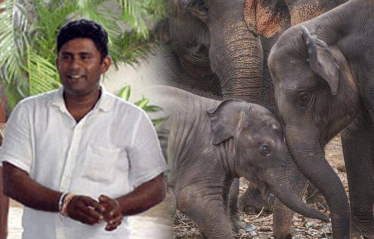 අලි රොෂාන්ට බරපතළ වැඩසහිත දීර්ඝ සිරදඬුවමක්. කෝටි දෙකකට අධික දඩයකුත් නියම වෙයි !