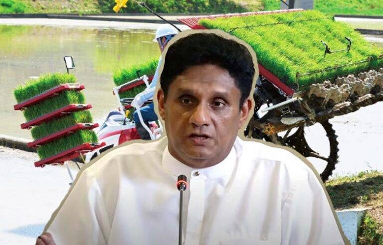 වී වගාවේ පිරිවැය අදටත් වැඩියි. ඉහළ අස්වැන්නක් සඳහා නවීන තාක්ෂණය භාවිතා කළ යුතුයි – සජිත් (VIDEO)