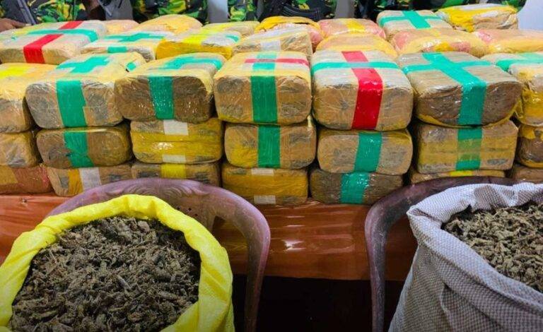 විශ්‍රාමික ෆලයිට් සාජන් කේරළ ගංජා තොගයක් සමග අත්අඩංගුවට!