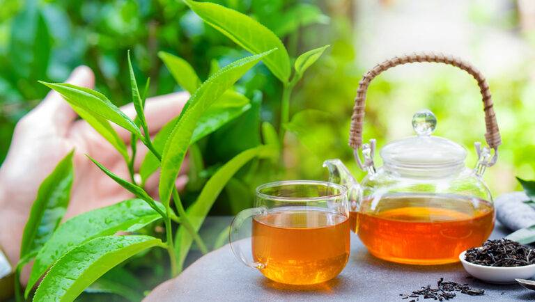 ව්‍යාජ තේ වලට එරෙහිව සටන් කිරීමට සැරසෙන Ceylon Tea!