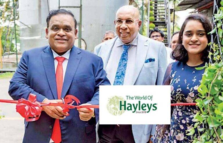 ධම්මිකගේ හේලීස් වෙතින් මහා පරිමාණ සුපිරි වෙළඳසැල් ජාලයක්. ආරම්භයේදී දිවයින පුරා ශාඛා 100ක් !