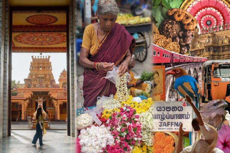 Wanderlust Wednesday: යාපනයේ තල් අරණේ රවුමක්! Discovering Jaffna, Sri Lanka