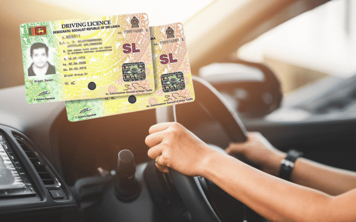 medium_new_driving_licence_b48fd91525