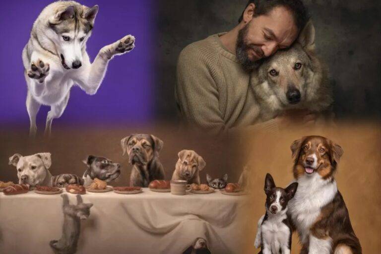 බල්ලෙක් තරම්වත් ගණන් ගන්නේ නැහැ කීවට සැලෙන්න එපා! මොකද? එයාලා වෙනුවෙනුත් දැන් සම්මාන ලැබෙනවා!