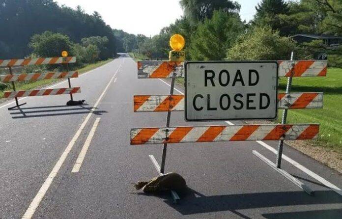 road-closed-12