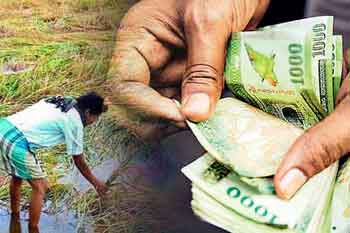ආපදාවෙන් හානිවූ කෘෂි වගාවන් සඳහා වන්දි තක්සේරු කිරීම ඇරඹේ!