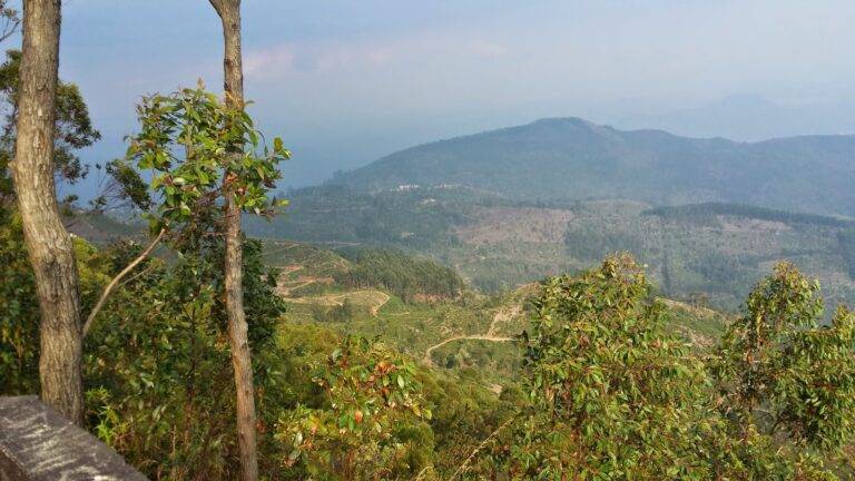 බදුල්ල දිස්ත්‍රික් ආපදා කළමනාකරණ කමිටු වාර්තාව( දෙසැම්බර් 01 දින රාත්‍රිය වන විට)