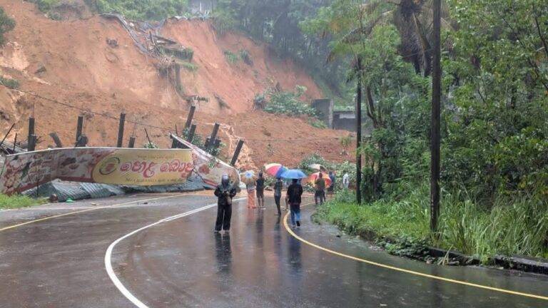 දිත්වා මම සහ මගේ පොල්ගහ…