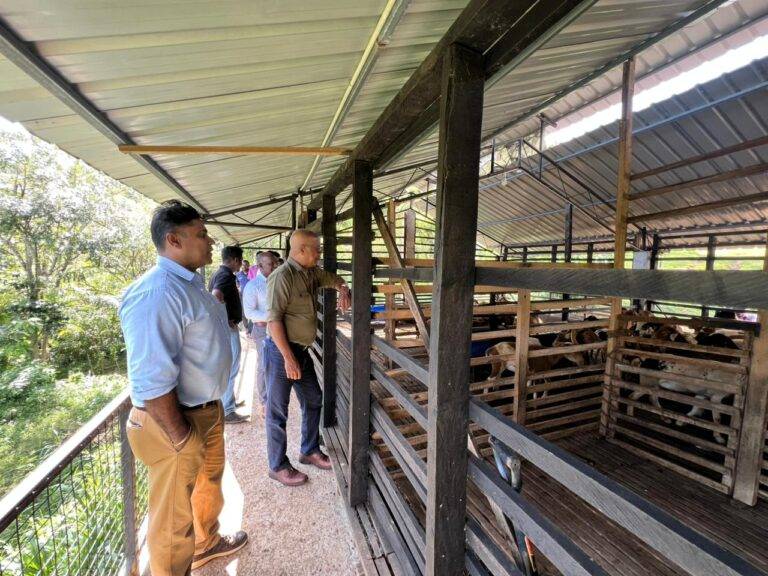 ලාල්කාන්ත මහබේරියතැන්න NLDB ගොවිපළ නිරීක්ෂණයට!