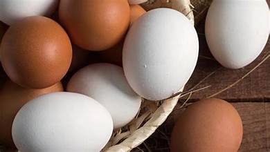 බිත්තරයක මිල රු.70ක් දක්වා ඉහළට?