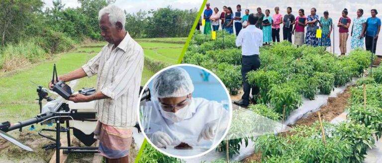 ‘ තිරසර කෘෂි වැඩසටහන’යළි ක්‍රියාවට නැංවේ!