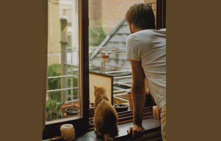 ජීවිතය … මිත්‍රයන් සහ මතකය ….