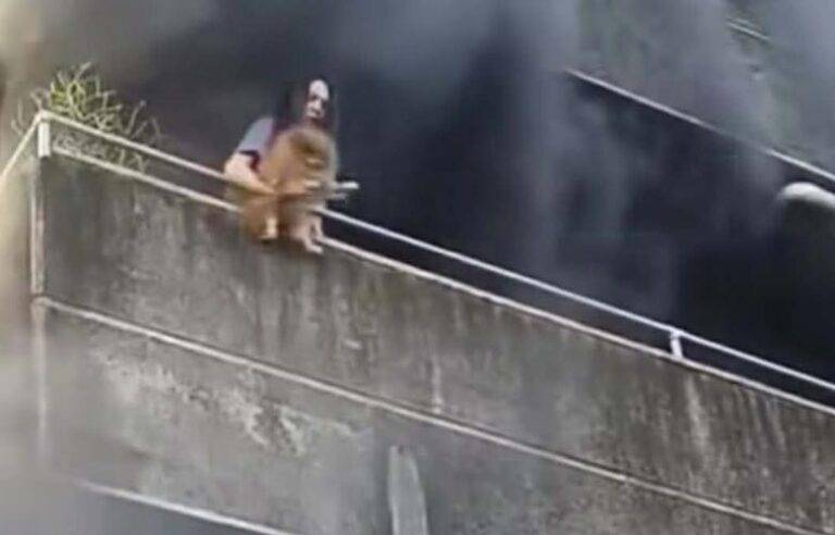 අපි ඉපදිලා තියෙන්නෙ හරි අවුල් තැනක ….