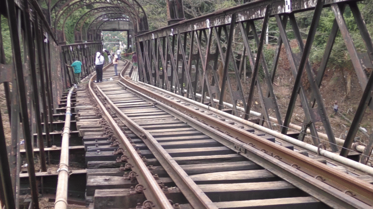 පේරාදෙණිය කළු පාලමේ තීරණය කුමක් වෙයිද?